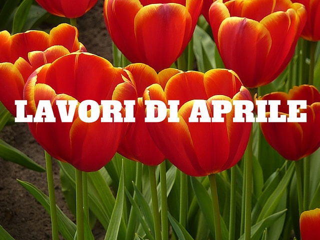 lavori in giardino e orto ad aprile