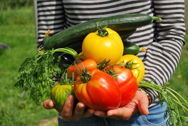 lavori agosto giardino semina raccolta