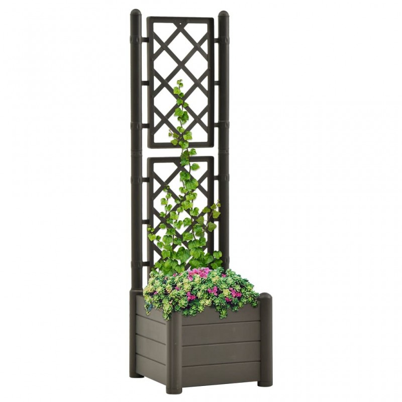 Acquista Fioriera da Giardino con Graticcio 43x43x142 cm PP Antracite con riferimento GHV-313981 della ditta GARDENHOME