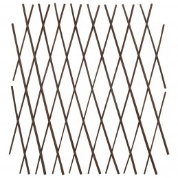 Acquista Recinzione a Traliccio in Salice 5 pz 180x60 cm con riferimento GHV-146072 della ditta GARDENHOME