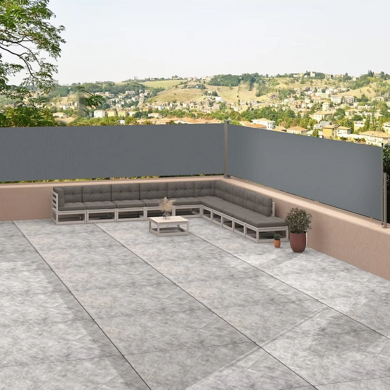 Acquista Tenda Laterale Retrattile Antracite 117x1200 cm con riferimento GHV-318056 della ditta GARDENHOME
