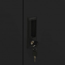 Acquista Armadio per Ufficio Nero 90x40x102 cm in Acciaio con riferimento GHV-336411 della ditta GARDENHOME