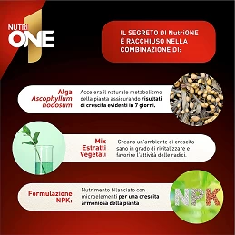 Acquista One Essence Concime Idrosolubile Concentrato x 750 g con riferimento 86600990 della ditta SBM life science