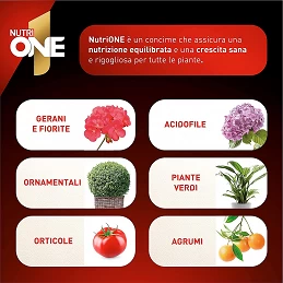 Acquista One Essence Concime Idrosolubile Concentrato x 750 g con riferimento 86600990 della ditta SBM life science
