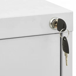 Acquista Armadio Classificatore Grigio Chiaro 46x62x133 cm in Acciaio con riferimento GHV-336279 della ditta GARDENHOME
