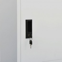 Acquista Armadio Grigio Chiaro 80x50x180 cm in Acciaio con riferimento GHV-335967 della ditta GARDENHOME