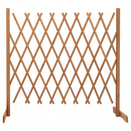 Acquista Traliccio da Giardino Arancione 180x100 cm Massello di Abete con riferimento GHV-314828 della ditta 