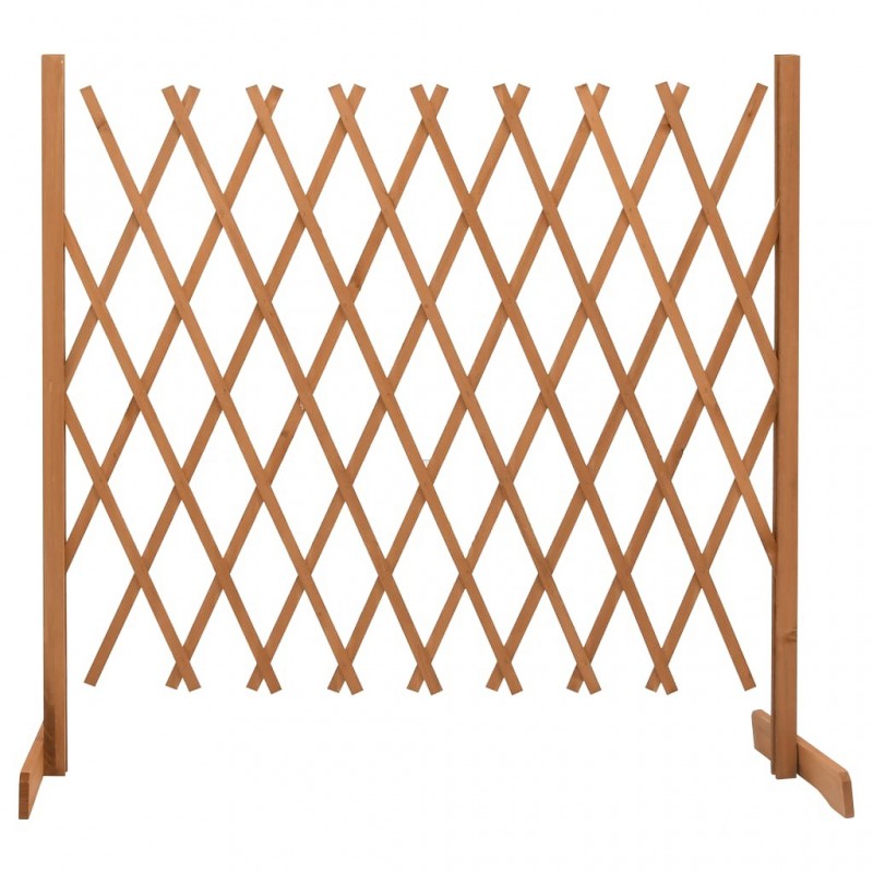 Acquista Traliccio da Giardino Arancione 180x100 cm Massello di Abete con riferimento GHV-314828 della ditta 