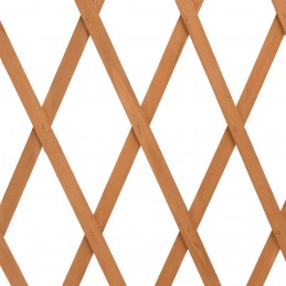 Acquista Traliccio da Giardino Arancione 180x100 cm Massello di Abete con riferimento GHV-314828 della ditta 