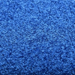 Acquista Zerbino Lavabile Blu 60x180 cm con riferimento GHV-323441 della ditta 