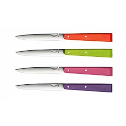 Acquista Oinel Coltello Tavola Box Colore Esprit Pop 4 pezzi con riferimento O-1532 della ditta Opinel
