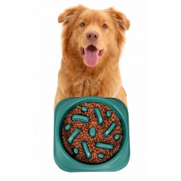 Acquista BAUMOOD Ciotola per Cani Anti Ingozzamento soffocamento Verde con riferimento BM246 della ditta BAUMOOD