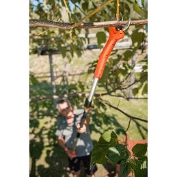 Acquista Forbice Kantia E-22 TR ad asta lunga telescopica 180-300 cm stocker con riferimento 611 della ditta Stocker