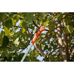 Acquista Forbice Kantia E-22 TR ad asta lunga telescopica 180-300 cm stocker con riferimento 611 della ditta Stocker
