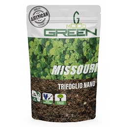 Acquista Greenmood Missouri Trifoglio Nano 0,5 Kg American Quality con riferimento GM863 della ditta GREENMOOD
