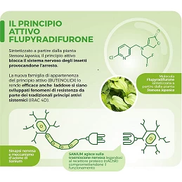 Acquista Sanium Insetticida Sistemico 5 ml afidi e cocciniglie con riferimento 86601466 della ditta SBM life science