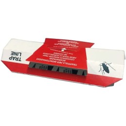Acquista Trap Line Trappola Ecologica pronta all’uso con base alimentare specifica Scarafaggi 25 pz con riferimento 6 -14-1-1X150 della ditta BLUE LINE