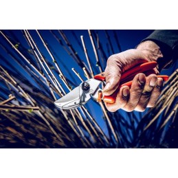 Acquista Forbice Lowe 8-104 con riferimento 8104 della ditta Stocker