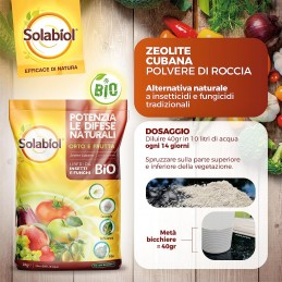 Acquista Solabiol Zeolite Cubana X 1 Kg con riferimento 86600646 della ditta SBM life science