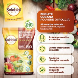 Acquista Solabiol Zeolite Cubana X 1 Kg con riferimento 86600646 della ditta SBM life science