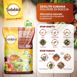 Acquista Solabiol Zeolite Cubana X 1 Kg con riferimento 86600646 della ditta SBM life science