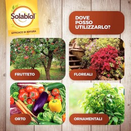 Acquista Solabiol Zeolite Cubana X 1 Kg con riferimento 86600646 della ditta SBM life science