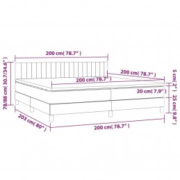 Acquista Giroletto a Molle con Materasso Grigio Chiaro 200x200cm Velluto con riferimento GHV-3141443 della ditta 