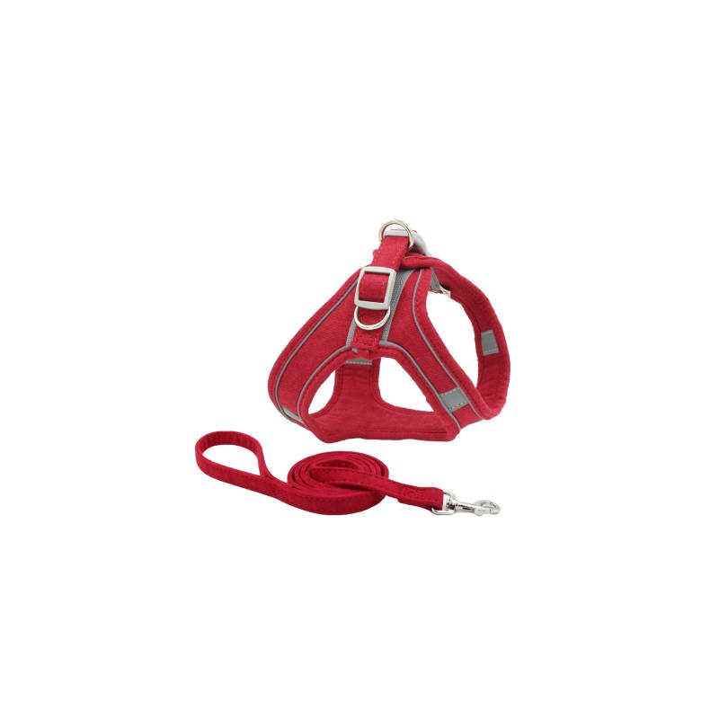 Acquista BAUMOOD Set di imbracatura e guinzaglio per cani ROSSO TAG.S con riferimento BM249 della ditta BAUMOOD