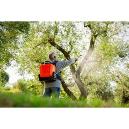 Acquista Ergomist pompa a zaino elettrica 20 L 21 V 2,5/5 bar, FPM SENZA BATTERIA con riferimento 406 della ditta Stocker
