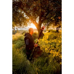 Acquista Motosega telescopica Magma E-300 LA 21V 205 - 305 cm con riferimento 615 della ditta Stocker