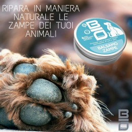 Acquista Biomood Balsamo Zampe PET con riferimento BM812 della ditta BAUMOOD