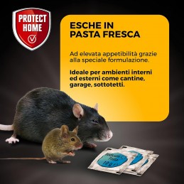 Acquista Rodicum CT Pasta topicida x 480 g con riferimento 86600802 della ditta SBM life science