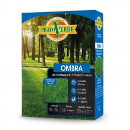 Acquista Prato Ombra da 1 Kg con riferimento tipoD1 della ditta Ferri Sementi