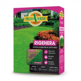 Acquista Prato Rigenera X 1 KG con riferimento RIGEN1 della ditta Ferri Sementi