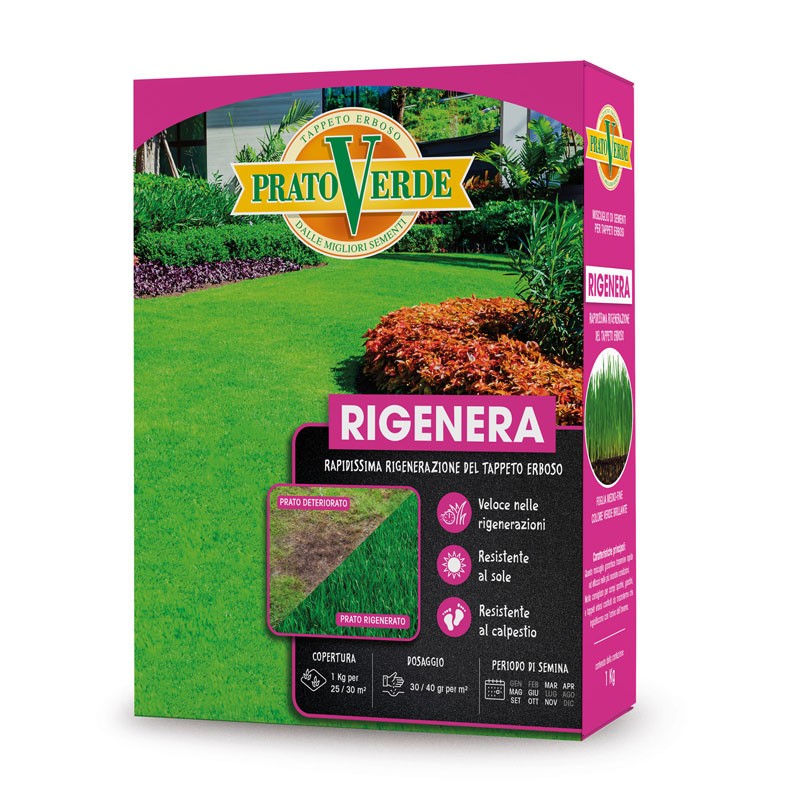 Acquista Prato Rigenera X 1 KG con riferimento RIGEN1 della ditta Ferri Sementi