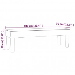 Acquista Panca Grigio Chiaro 100x30x30 cm in Velluto con riferimento GHV-346666 della ditta 