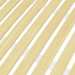 Acquista Rete a Doghe con 24 Doghe 100x200 cm con riferimento GHV-340078 della ditta 
