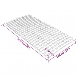 Acquista Rete a Doghe con 24 Doghe 100x200 cm con riferimento GHV-340078 della ditta 