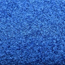 Acquista Zerbino Lavabile Blu 40x60 cm con riferimento GHV-323439 della ditta 