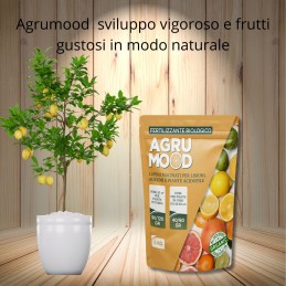 Acquista AGRUMOOD LUPINI MACINATI PER AGRUMI 2 kg per limoni in vaso e in terra e piante acidofile con riferimento GH024 della ditta GARDENHOME
