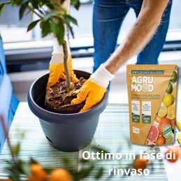Acquista AGRUMOOD LUPINI MACINATI PER AGRUMI 3 kg per limoni in vaso e in terra e piante acidofile con riferimento GH025 della ditta GARDENHOME
