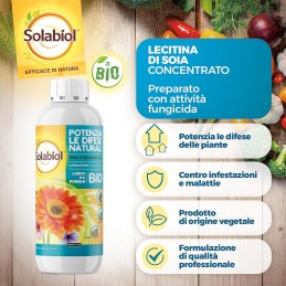 Acquista Solabiol Lecitina Di Soia X 1 lt Fungicida con riferimento 86600648 della ditta SBM life science