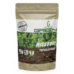 Acquista Greenmood Missouri Trifoglio Nano 0,5 Kg American Quality con riferimento GM863 della ditta GREENMOOD
