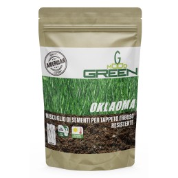 Acquista Greenmood Oklahoma 20 Kg miscuglio per tappeto erboso super resistente American Quality con riferimento GM869 della ditta GREENMOOD