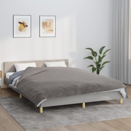 Acquista Coperta Ponderata con Copertura Grigia 200x220 cm 9 kg Tessuto con riferimento GHV-3154893 della ditta 