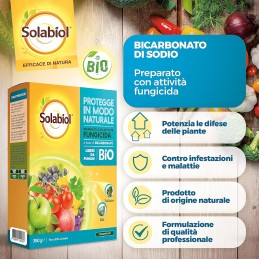 Acquista SOLABIOL Bicarbonato X 350 gr Fungicida naturale con riferimento 86601260 della ditta SBM life science