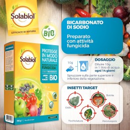Acquista SOLABIOL Bicarbonato X 350 gr Fungicida naturale con riferimento 86601260 della ditta SBM life science