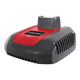 Acquista Carica batteria veloce 1 h per batterie Samsung con riferimento C40-25CF della ditta DUNSH EUROPE