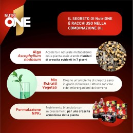 Acquista One 1 lt Concime Liquido Universale con riferimento 8660030V della ditta SBM life science