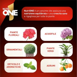 Acquista One 1 lt Concime Liquido Universale con riferimento 8660030V della ditta SBM life science